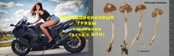 а пвп мука Александровское
