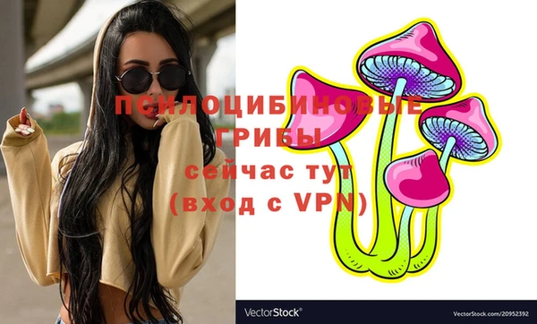 а пвп мука Александровское