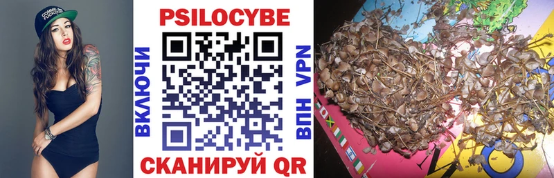 Псилоцибиновые грибы прущие грибы  Алагир 